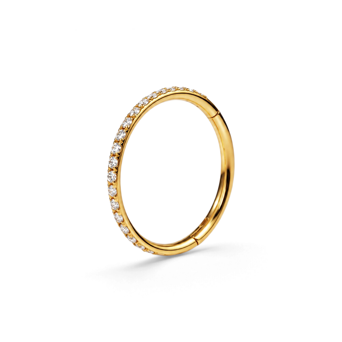 Titanium Nose RIng