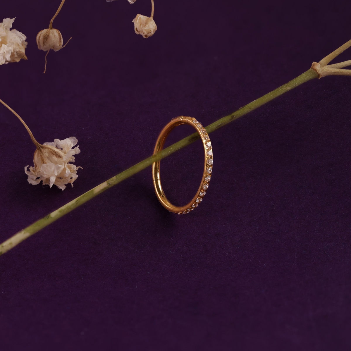 Titanium Nose RIng