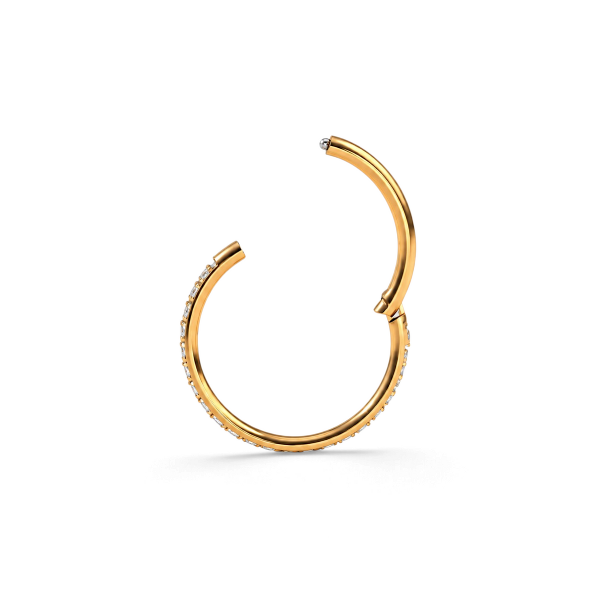 Titanium Nose RIng