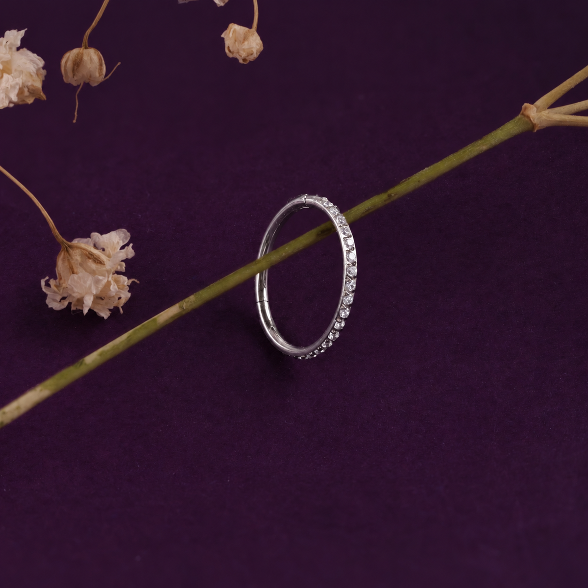 Titanium nose ring